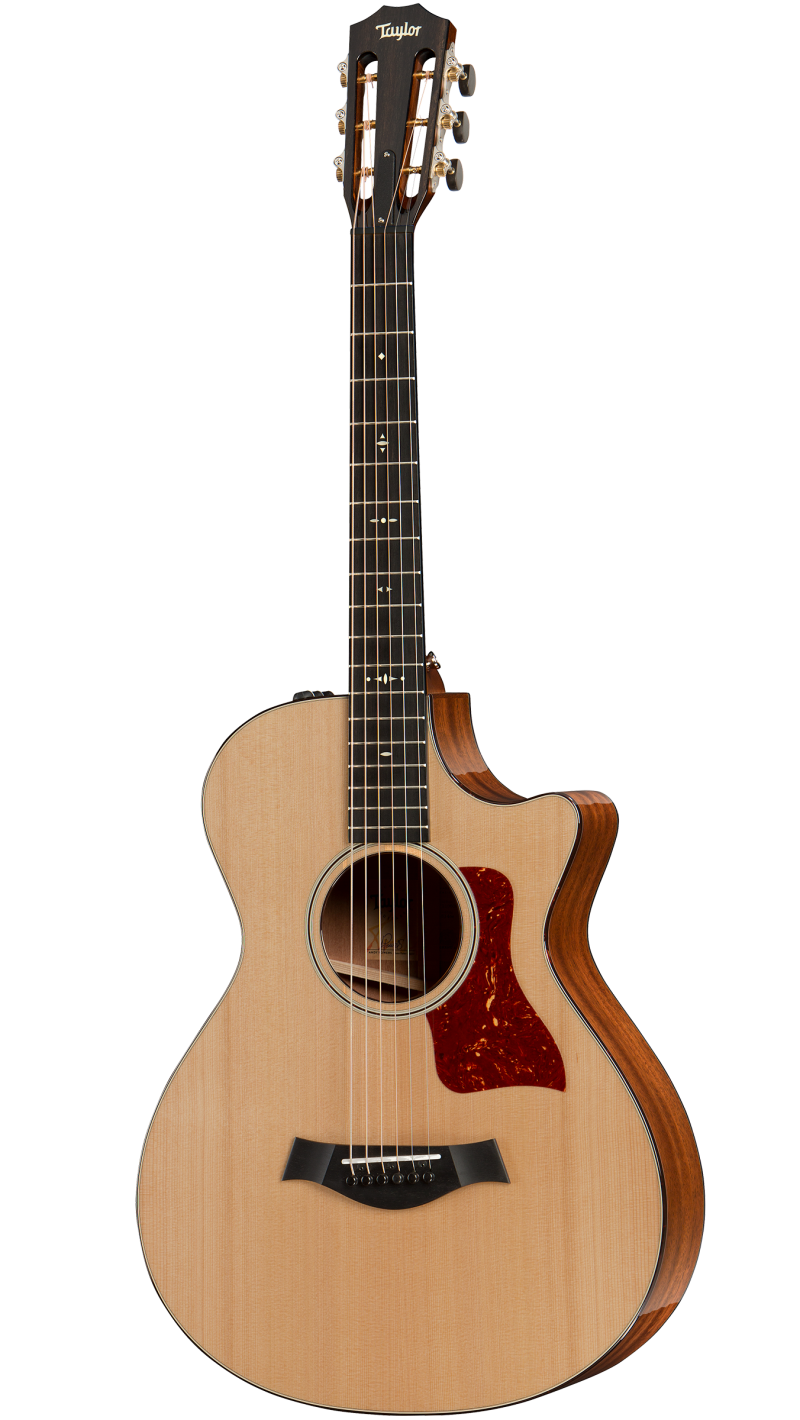 Taylor 12 fret hotsell mahogany